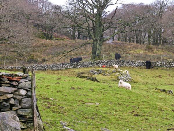 Y Bwthyn Llanbedr (Gwynedd) Exterior foto